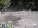 Mud Pool.jpg
